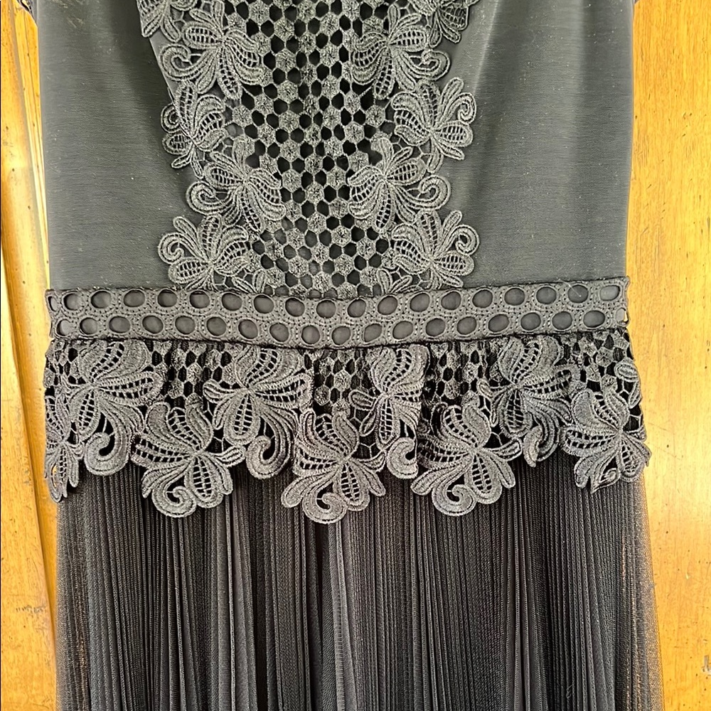Black Lace Appliqué Pleated Midi Dress - Picture 3 of 5